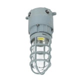 27W LED Explosion Proof Jelly Jar Light, Class I Division 2 Hazardous Location, 2,700 Lumens, 5000K, 120-277V AC, 0-10V Dimmable, Industrial Cage Fixture, Surface Mount