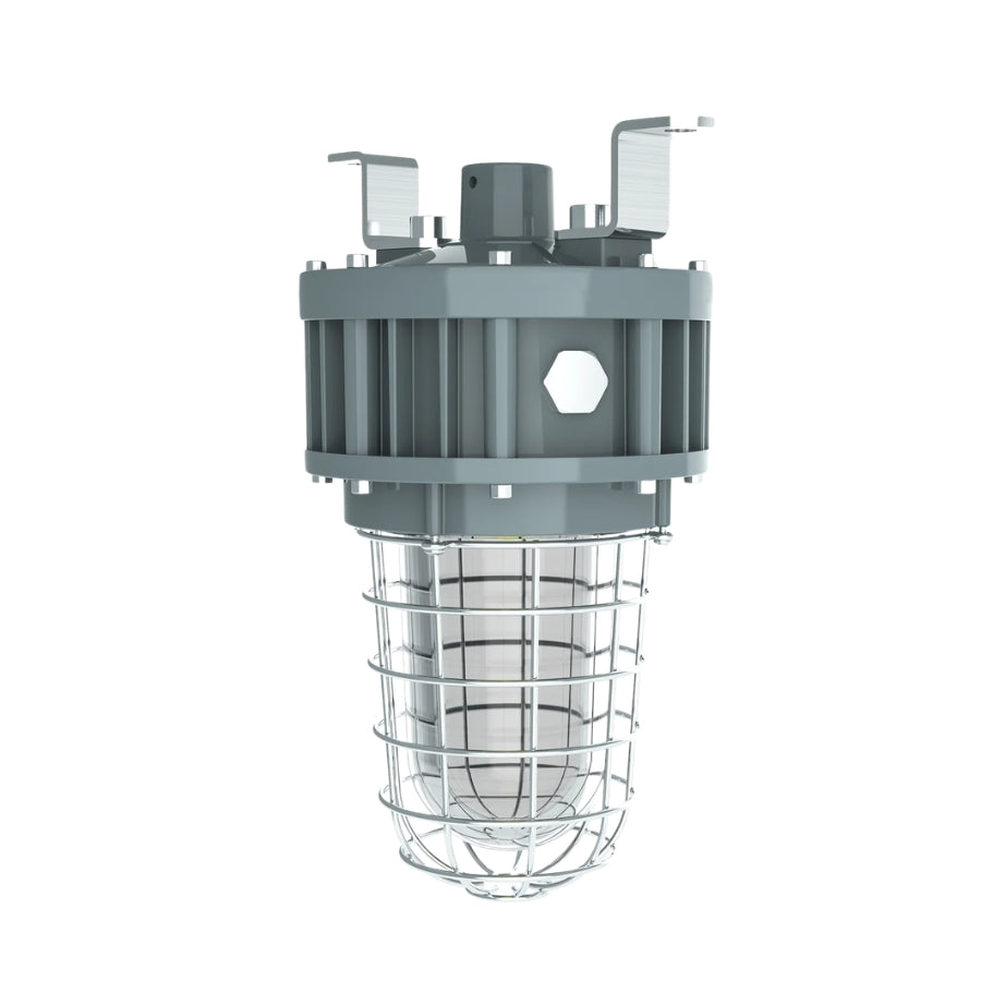 40W LED Explosion Proof Jelly Jar Light, Class I Division 1 & 2 Hazardous Location, 4,400 Lumens, 5000K, 120-277V Dimmable, 120° Beam, Industrial Cage Fixture, Surface Mount