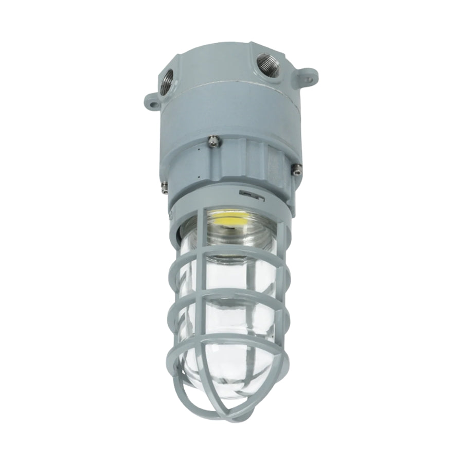 27W LED Explosion Proof Jelly Jar Light, Class I Division 2 Hazardous Location, 2,700 Lumens, 5000K, 120-277V AC, 0-10V Dimmable, Industrial Cage Fixture, Surface Mount