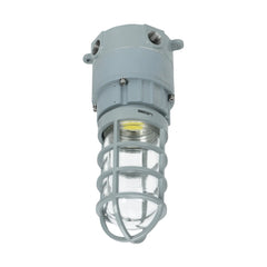 27W LED Explosion Proof Jelly Jar Light, Class I Division 2 Hazardous Location, 2,700 Lumens, 5000K, 120-277V AC, 0-10V Dimmable, Industrial Cage Fixture, Surface Mount