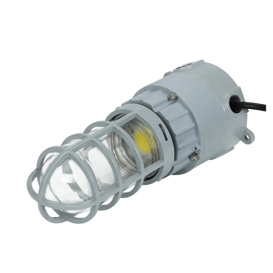 27W LED Explosion Proof Jelly Jar Light, Class I Division 2 Hazardous Location, 2,700 Lumens, 5000K, 120-277V AC, 0-10V Dimmable, Industrial Cage Fixture, Surface Mount