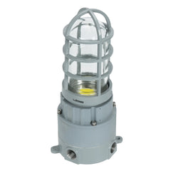 27W LED Explosion Proof Jelly Jar Light, Class I Division 2 Hazardous Location, 2,700 Lumens, 5000K, 120-277V AC, 0-10V Dimmable, Industrial Cage Fixture, Surface Mount