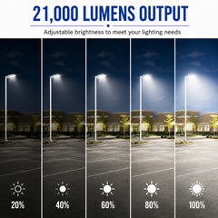 150W LED Parking Lot Light, 21,000 Lumens, 5000K Daylight, Type III/Type V Distribution, 120-277V, 600W Metal Halide Equivalent, Photocell Ready, 0-10V Dimmable, IP65 Waterproof, White Housing, UL & DLC Certified, 5-Year Warranty